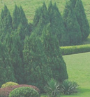 网络ddos监测分析工具