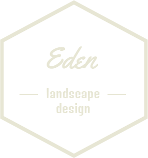 攻击网站在线工具