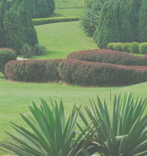 服务器攻击软件